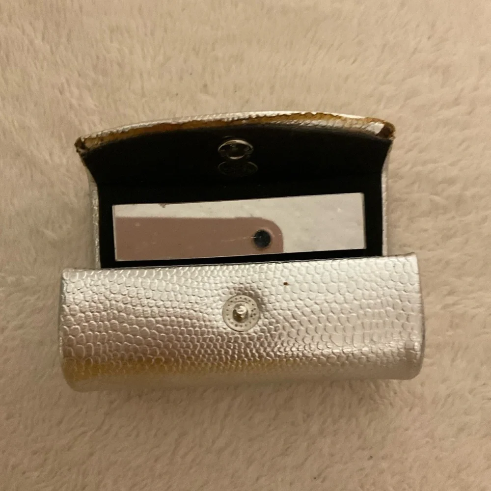 Elegant Silver Cosmetic Case